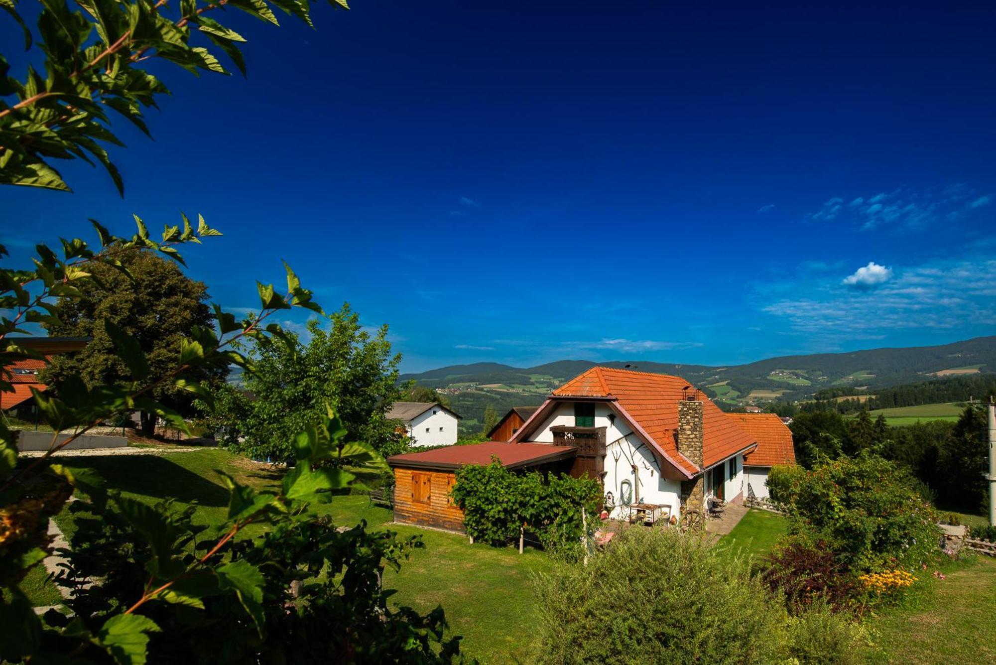 Ferienhaus Mooshoef Pollauberg Exterior photo